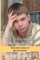 The Chelyabinsk Meteorite