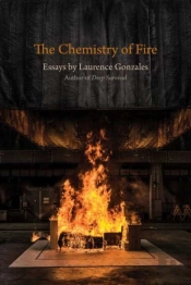 The Chemistry Of Fire