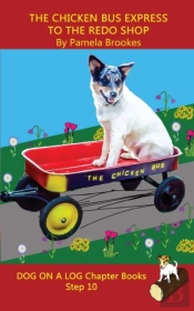 The Chicken Bus Express To The Redo Shop