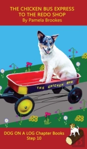 The Chicken Bus Express To The Redo Shop