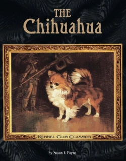 Bertrand.pt - The Chihuahua