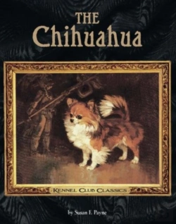 Bertrand.pt - The Chihuahua
