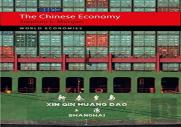 The Chinese Economy