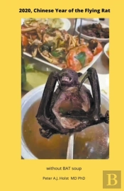 The Chinese Year Of The Flying Rat