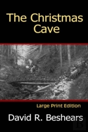 The Christmas Cave - Lpe