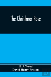 The Christmas Rose