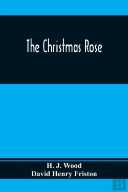 Bertrand.pt - The Christmas Rose