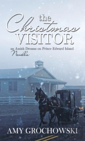 The Christmas Visitor