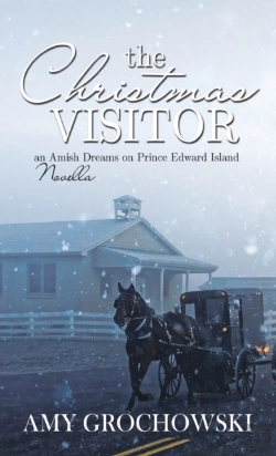 Bertrand.pt - The Christmas Visitor