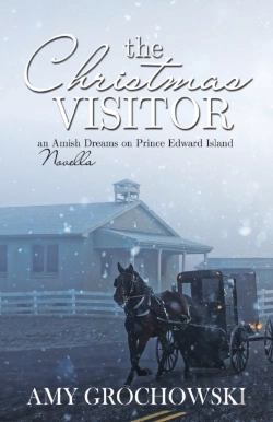 Bertrand.pt - The Christmas Visitor