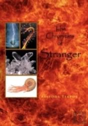 The Chronicles Of Stranger