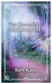 The Chronicles Of Synchronicity