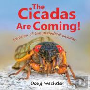 The Cicadas Are Coming!