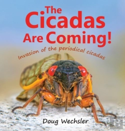 Bertrand.pt - The Cicadas Are Coming!