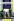 The Cinematic Griot