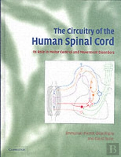 Bertrand.pt - The Circuitry Of The Human Spinal Cord
