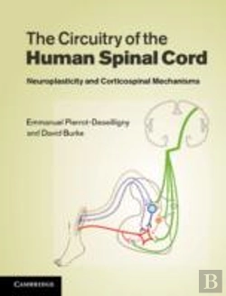 Bertrand.pt - The Circuitry Of The Human Spinal Cord