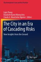 The City In An Era Of Cascading Risks