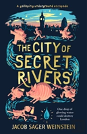 The City Of Secret Rivers