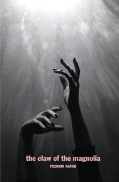 The Claw Of The Magnolia