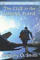 The Clue In The Missing Plane