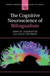 The Cognitive Neuroscience Of Bilingualism