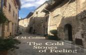 The Cold Stones Of Feeling