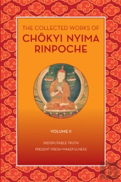 The Collected Works Of Chkyi Nyima Rinpoche, Volume Ii