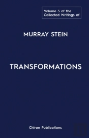 The Collected Writings Of Murray Stein