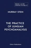 The Collected Writings Of Murray Stein