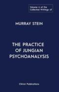 The Collected Writings Of Murray Stein