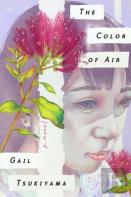 The Color Of Air