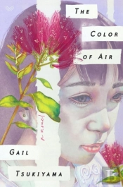 The Color Of Air