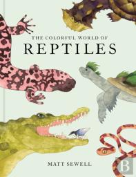 The Colorful World Of Reptiles