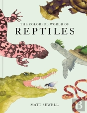 The Colorful World Of Reptiles