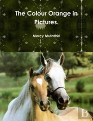 The Colour Orange In Pictures.