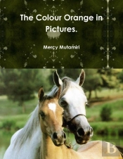 The Colour Orange In Pictures.