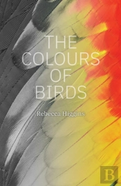 The Colours Of Birds