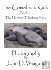 The Comeback Kids Book 1, The Northern Elephant Seals