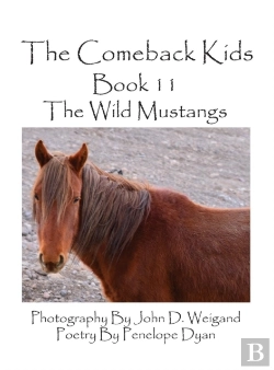 Bertrand.pt - The Comeback Kids--Book 11--The Wild Mustangs