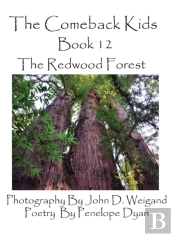 The Comeback Kids, Book 12, The Redwood Forest
