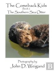 The Comeback Kids Book 2, The Southern Sea Otter