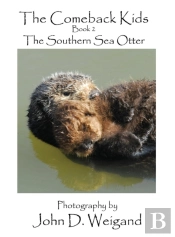 The Comeback Kids Book 2, The Southern Sea Otter