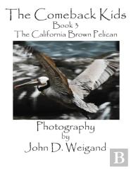 The Comeback Kids, Book 3, The California Brown Pelican