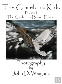 Bertrand.pt - The Comeback Kids, Book 3, The California Brown Pelican