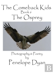 The Comeback Kids, Book 6, The Osprey