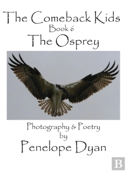 Bertrand.pt - The Comeback Kids, Book 6, The Osprey