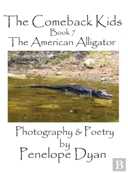 Bertrand.pt - The Comeback Kids, Book 7, The American Alligator