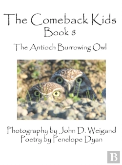 Bertrand.pt - The Comeback Kids, Book 8, The Antioch Burrowing Owl