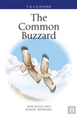 Bertrand.pt - The Common Buzzard